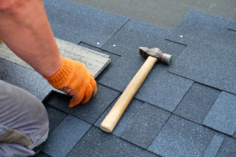 Professional asphalt shingle repair