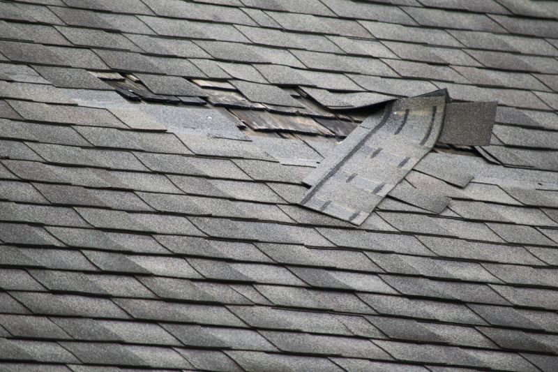Assessing roof damage