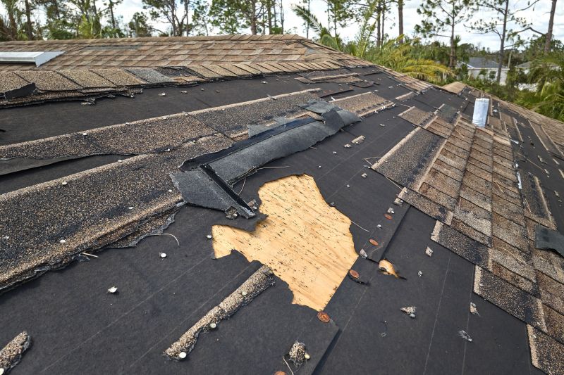 Asphalt Roof Repair