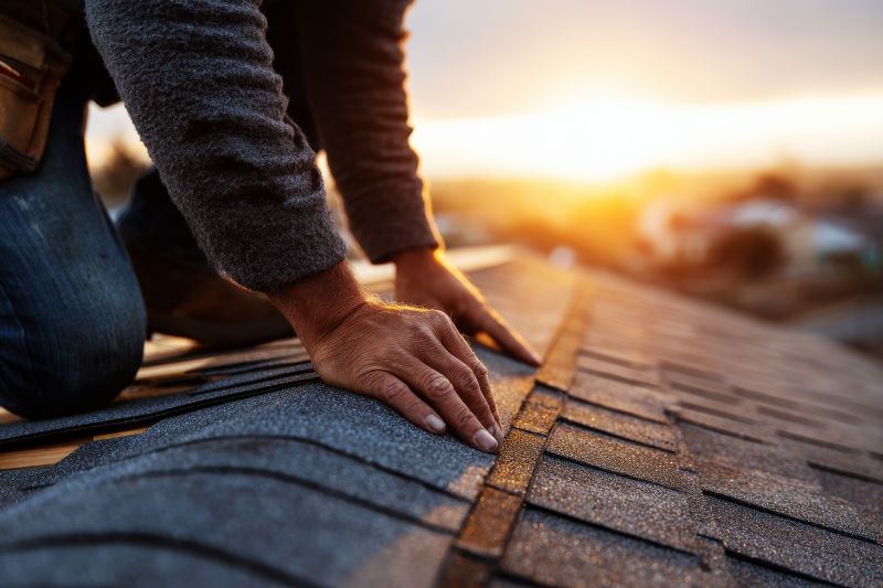 Roof repair consultation